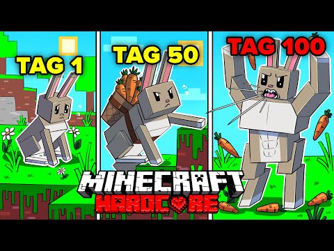 Video: Ce este hase în minecraft?