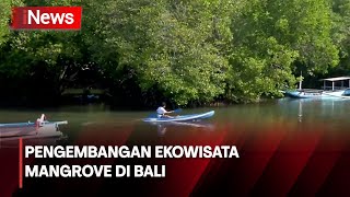 Observasi Mangrove oleh PLN Indonesia Power - iNews Siang 19/05