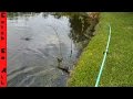 Best Fishing Lure for Bass and Snakeheads! DOOMSDAY TURTLE LURE?!