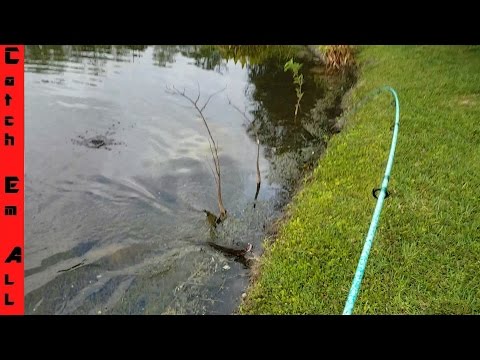 st croix avid glass ice rod as a dead stick St. Fishing Rods — Natural Sports Bath The slow action transfers Retrieve:Right Hand Crank Closed Face Fishing Pole