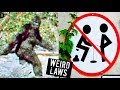 5 WEIRDEST LAWS IN THE WORLD