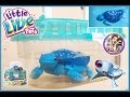 Review little live pets tortue et son aquarium