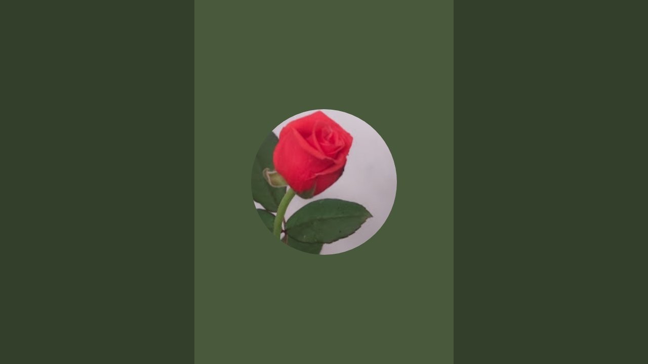 പക്ഷികളുടെ എണ്ണം പറയാമോ