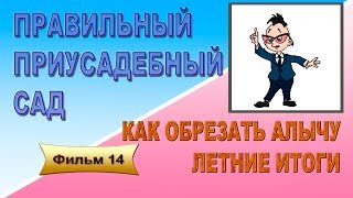 Это интересно Фильм 14 Как обрезать алычу. Летние итоги. Это интересно Фильм 14 Как обрезать алычу. Летние итоги.