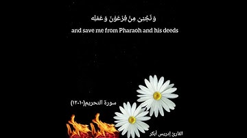 سورة التحريم ١٠-١٢ بصوت الشيخ إدريس أبكر...Surah Tahreem ayats 10-12 by Sheikh Idress Abkar