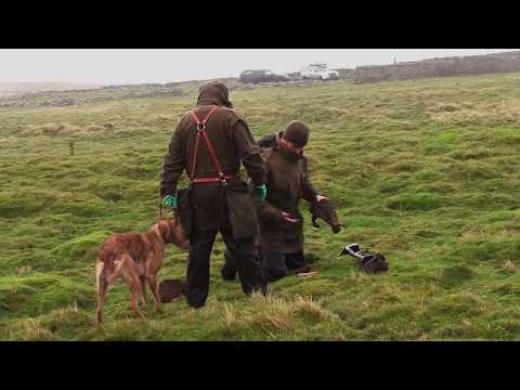 Video: In The Yorkshire Hills