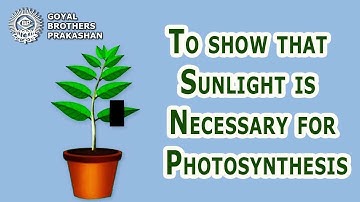 To show that Sunlight is Necessary for Photosynthesis