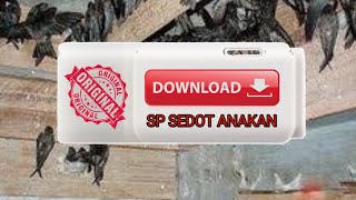 SP SEDOT ANAKAN👍👍👍