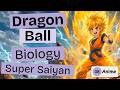 Dragon Ball Science: How Super Saiyans Unlock Superhuman Strength - (Anime style)