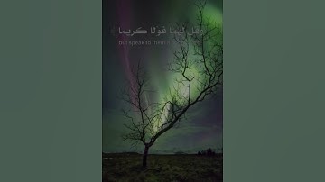 تلاوه خاشعه بصوت #هزاع_ البلوشي
