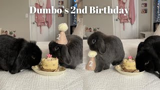 Celebrate My Bunny’s 2nd Birthday 🥳🐰 by Dumbo and Bear 562 views 1 year ago 7 minutes, 26 seconds