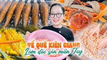 Về quê miền Tây – Làm TÔM KHÔ, ăn BÚN MẮM CÁ LÓC & CÁ CHỐT KHO đặc sản miền Tây | Trương Kim Lý