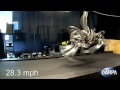 DARPA's Cheetah Bolts Past the Competition