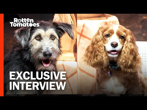 Tessa Thompson & Justin Theroux Give Props to Their ‘Lady and the Tramp’ Canine Co-Stars