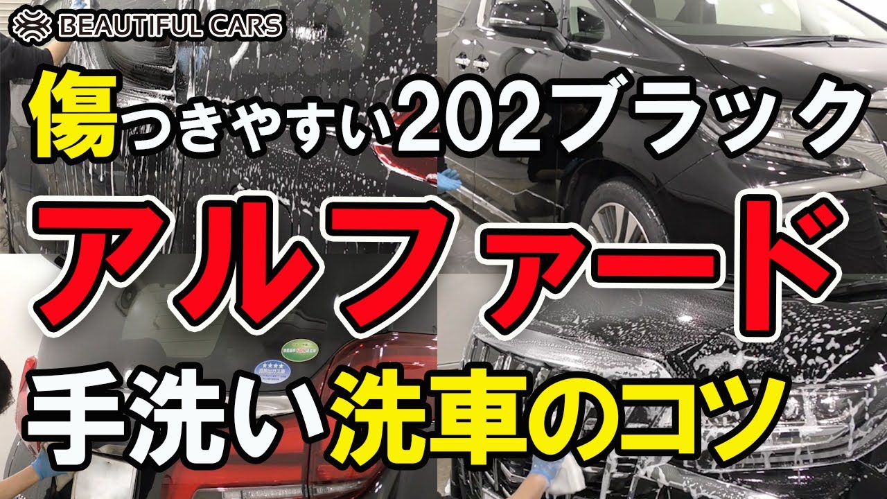 プロが教える手洗い洗車のコツ アルファード がっつり洗車しました Youtube
