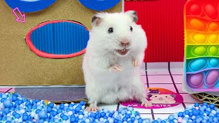 😱 Hamster Escape Maze - Hamster Cute Pets Maze Challenge by MR HAMSTER 3,522 views 3 weeks ago 30 minutes