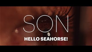 Video voorbeeld van "Hello Seahorse! - SON (Video Oficial)"