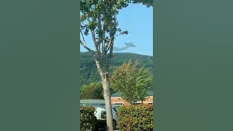 Aigikampoi Fish tailed goat sighting in Italy, Etruscan civilization of ancient Italy #Short