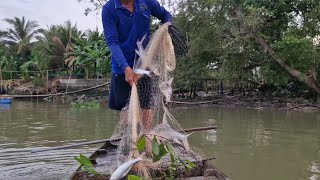 trúng bầy cá cóc lớn hôm qua em đăng hết lên cả nhà ơi cảm ơn nhà mình rất là nhiều