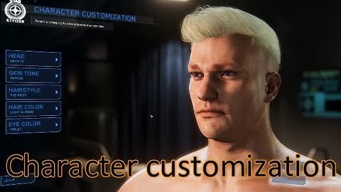 3.1 PTU character customization