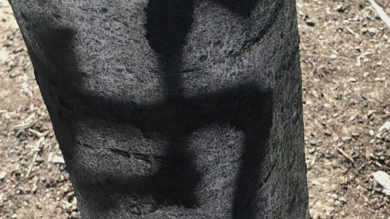 Vancouver hate crimes: Swastikas sprayed, pride flags torn down