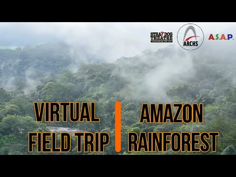 Virtual Field Trip : Amazon Rainforest pic