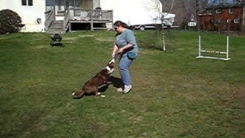 Life Is Good in the Reinforcement Zone