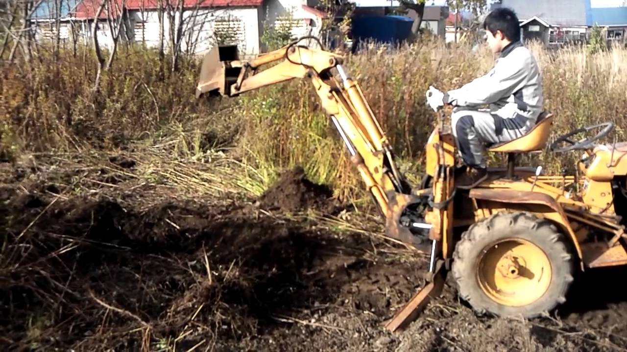 日の本コンバック「撮り虎」 | 水戸市大場町・島地区農地・水・環境