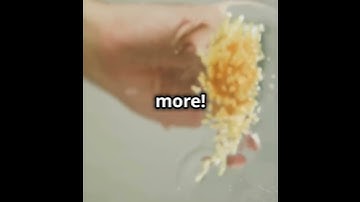 The Secret Purpose of Everyday Objects! #EverydayObjects #LifeHacks #DidYouKnow #MindBlowingFacts