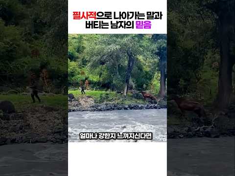 [감동주의] 급류 몰아치는 강물에 휩쓸려 떠내려가는 말  반대편에서 로프 꽉 잡고 버티며 끝까지 살려낸 남자의 소름 돋는 사투 ㄷㄷ #동물구조 #감동실화 #생존다큐 thumbnail