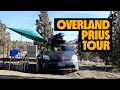PRIUS CAMPER WALKAROUND | Overland Prius