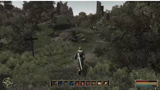 Gothic 3 - New 2H Combat Animation Beta V0.2
