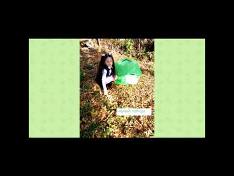 „შემოდგომა დმანისში 2020 წელი“