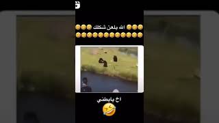 الله يلعن شكلك😂😂