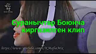 Суйуу суйуу деп койот