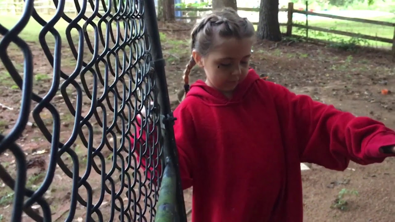 GIRLS INCARCERATED PARODY ROSE VALVEZ YouTube