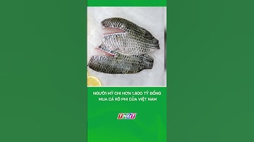 Người Mỹ chi hơn 1.600 tỷ đồng mua cá rô phi của Việt Nam #nongnghiepmientay