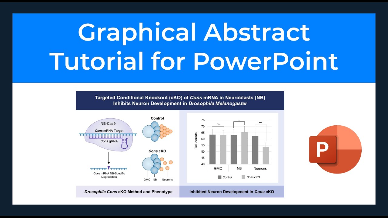 make graphical abstract