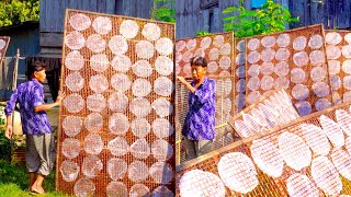 Granda & Family Still Work Hard to make Rice Paper! Egg Roll Wrapper in Battambang Province