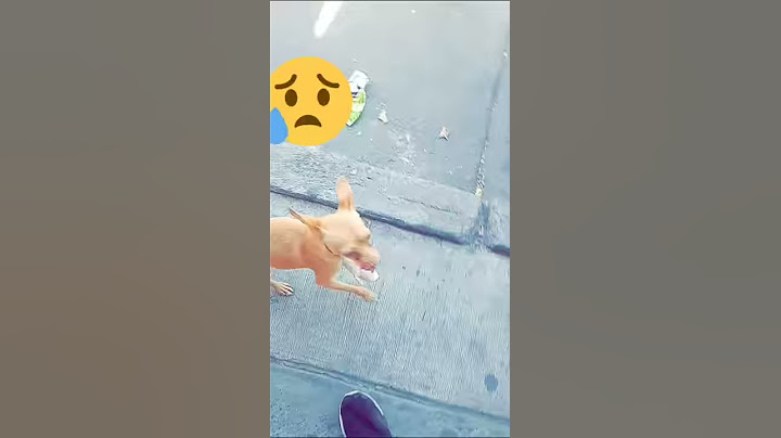 Se quebró su patita