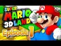 Super Mario 3D Land Gameplay Walkthrough - Episode 1 - World 1 100%! Tanooki Suit!