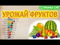 Выращивание фруктов в странах бывшего СССР (СНГ) | Рейтинг стран по урожаю фруктов