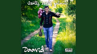 Video thumbnail of "Daavid - Szallj, Szallj (Radio Edit)"