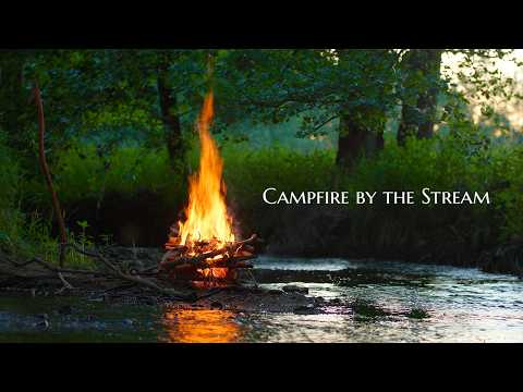 4K📺 Campfire by the Stream 🔥Real Natural Sounds & Soothing Ambience