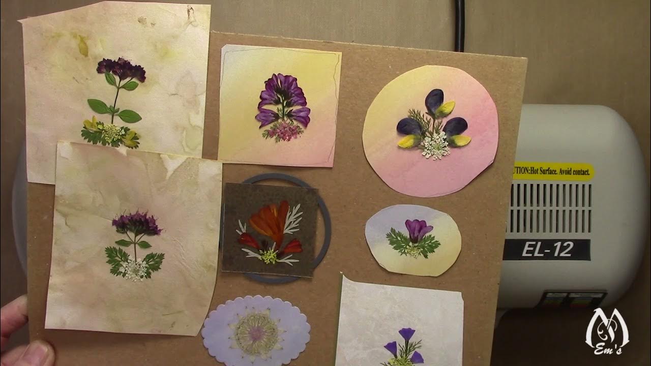 Glossy vs Matte Laminate Laminating Pressed Flowers Using Hot