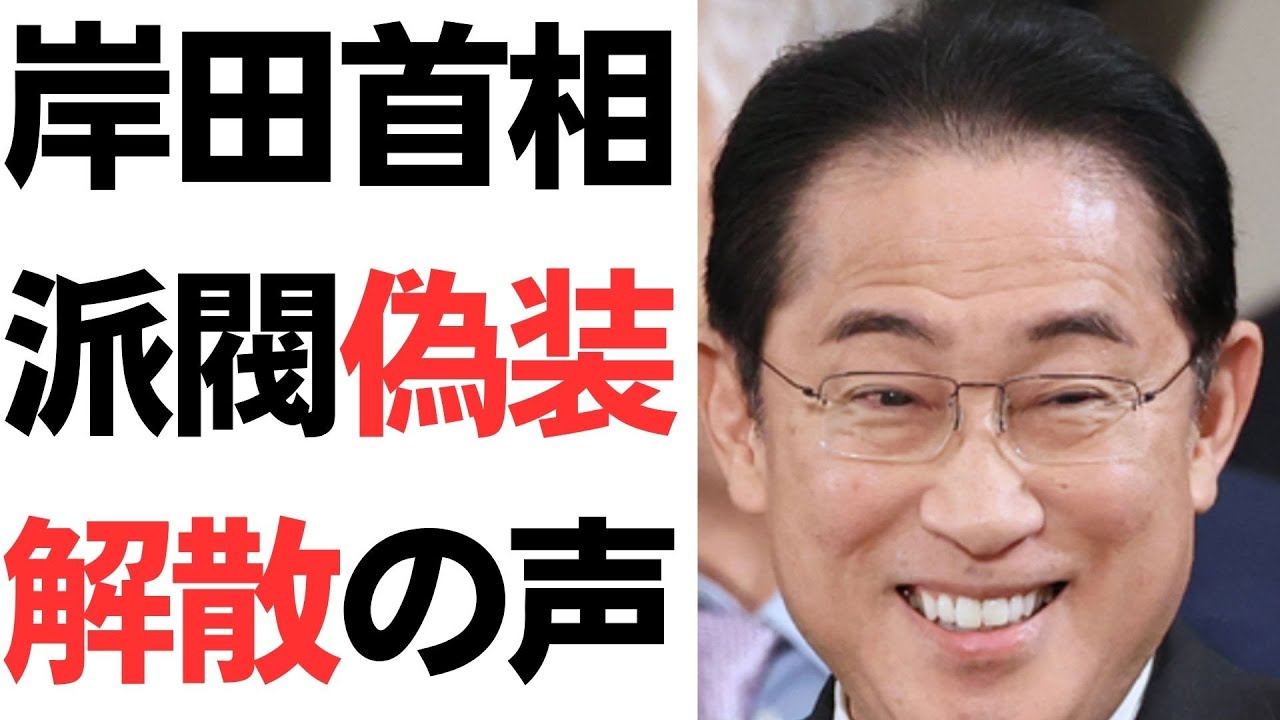 岸田派解散と政治団体の存続をめぐる議論を扱う動画のサムネイル