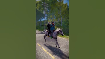 Double Saddles coming soon to Rust!