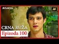 Crna Ruza - Epizoda 100