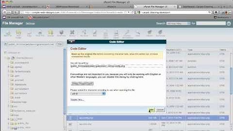 Change WP Password In Cpanel.mp4