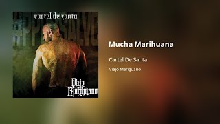 Cartel De Santa - Mucha Marihuana